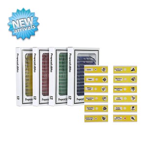 ชุดสไลด์พลาสติก เรื่องพืช สีเหลือง (12ชิ้น )