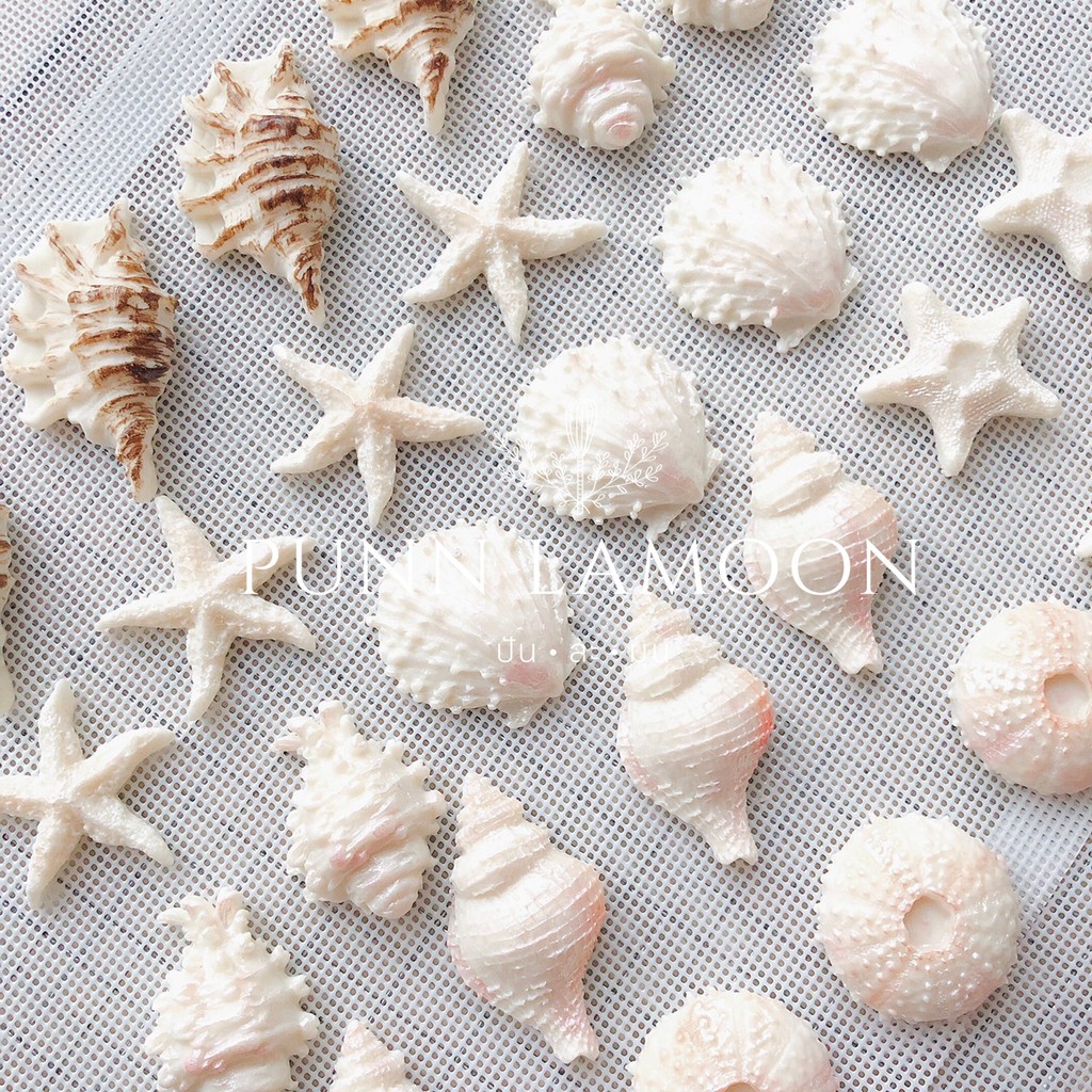 ขนมอาลัว รูปหอย (Shell) 7 แบบ