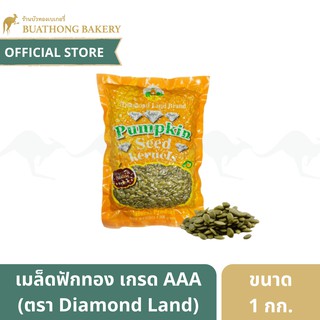 เมล็ดฟักทองดิบ (Pumpkin Seeds) เกรด AAA ตรา Diamond Land ขนาด 1 กิโลกรัม เม็ดฟักทอง