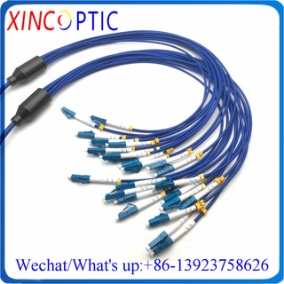 70Mtrs 12Strands Singlemode CRIP Armored Optic Patch Cord 12C 70M SM PVC Blue Jacket 12Core LC-SC LC FC ST Fiber Jumper