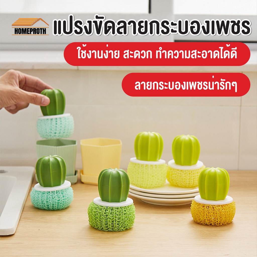 พร้อมส่ง/ แปรงขัดลายกระบองเพชร ฝอยขัด ที่ขัดหม้อ น่ารัก สไตล์เกาหลี