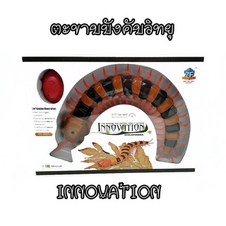 T.P. TOYS INNOVATION SCOLOPENDRA ตะขาบบังคับ ตะขาบยักษ์บังคับวิทยุ คละสี ประมาณ 30 ซม.