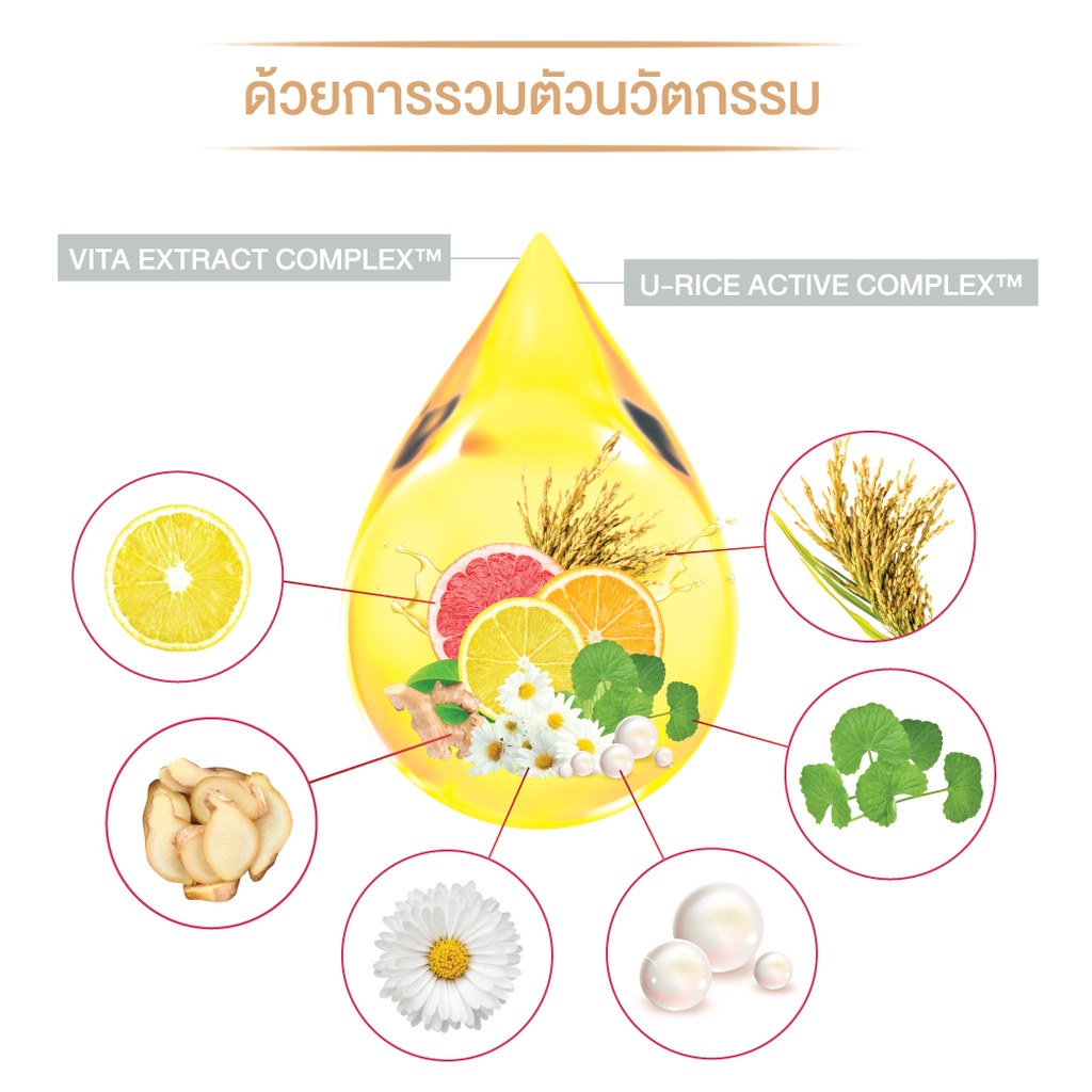 (ลด 30% + ส่งฟรี) CLIV Vita C Brightening Ampoule 30 ml. แอมพูลเกาหลี เผยผิวกระจ่างใส* - รูปที่ 3
