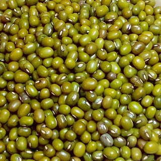 GREEN MOONG DAL WHOLE 500GM ( ถั่ว ,ธัญพืช) 500GM