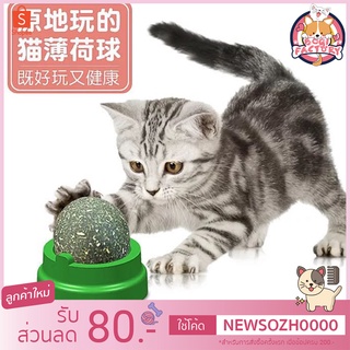 Boqi Factory กัญชาแมว แคทนิปบอล ติดกำแพง ไม่กลิ้งหาย catnip ball XJ55