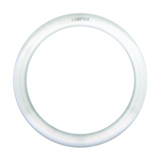 หลอด LED LAMPTAN CIRCULAR SET 24 วัตต์ DAYLIGHT หลอดไฟภายในบ้านเอนกประสงค์