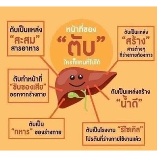 ฟื้นฟูตับ ดูแลหัวใจ บำรุงสมอง - เลซิติน กิฟฟารีน