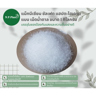 แม็กนีเซียม ซัลเฟต แฮปตะไฮเดรต Magnesium Sulphate Heptahydrate (MGSO4.7H2O) แบบผลึกเม็ดน้ำตาล (1KG)