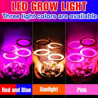 USB พืชแสง LED Full Spectrum โคมไฟ Growth Lighting DC5V จับเวลาต้นกล้าการเพาะปลูก Angel แหวนระบบ Hydroponic Grow Garden