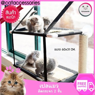 ที่นอนแมวเปลแมวแบบติดกระจก 2ชั้น ขนาด 35x60x63ซม.  รับน้ำหนักได้ถึง 20 กก.สีดำ