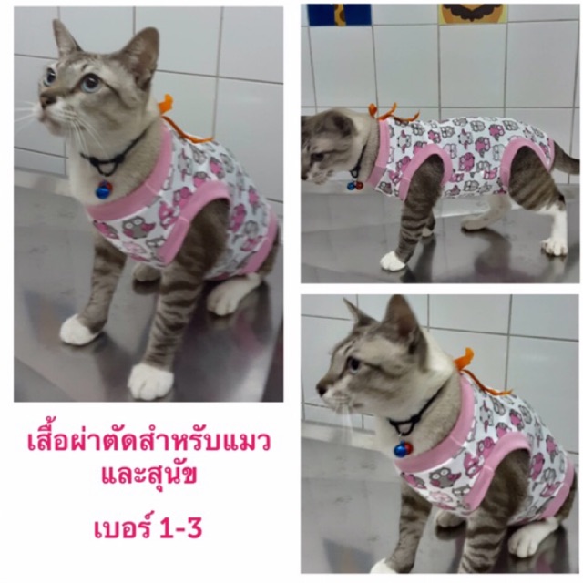 เสื้อผ่าตัดแมว เบอร์ 1 หรือเบอร์ 2 หรือเบอร์ 3 จำนวน 1 ตัว(กรุณาระบุเบอร์ทางแชท)
