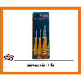 มีดชุดแกะสลักด้าม พลาสติก Pop art carving set