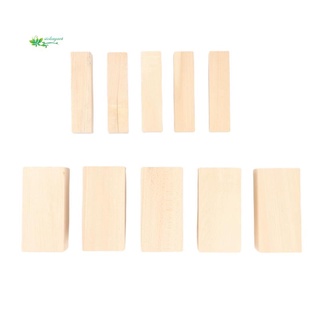 10Pack Basswood Carving Blocks Kit Whittling Blanks Beginners Unfinished Wood Whittling Blocks Carving Block Kit(5L+5S)