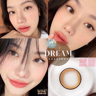 Dream brown รุ่นลายฮิตTiKTok ตาวาว สีน้ำตาลตาโต ขายดีมาก