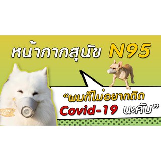 หน้ากากกันฝุ่นกันโรคของสุนัข กัน PM 2.5 และเชื้อโรค Smoke Mask For Design