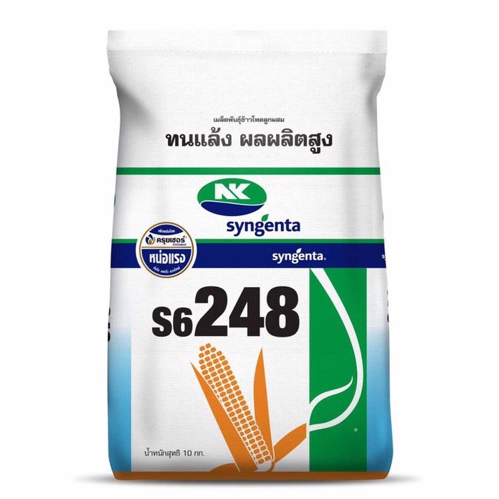 เมล็ดข้าวโพด 🌽 เอ็นเค NK s6248 🌽 เบอร์ 3.5 และ 3 หุน (10 กก.) ทนแล้ง ผลผลิตสูง