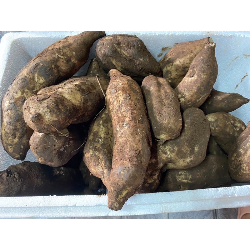 บัวหิมะสด สินค้านำเข้า สินค้าใหม่ของฤดูกาล