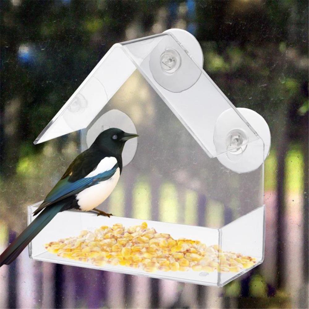 Bird Squirrel Feeder Tray Birdhouse Window Suction Cup Tools