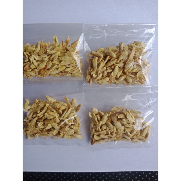 เมล็ดพันธุ์มะกรูดขนาด70เม็ด30บาท