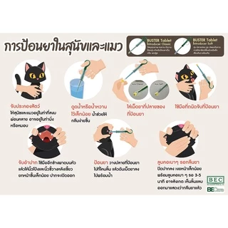 ที่ป้อนยาสัตว์ ที่ป้อนยาเม็ด ยี่ห้อ KRUUSE ของแท้ ใช้ได้ทั้งสุนัขและแมว นำเข้าจากประเทศเดนมาร์ก