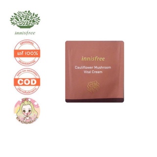 ของแท้/เก็บปลายทาง/พร้อมส่ง INNISFREE Cauliflower Mushroom Vital Cream 1 ml.