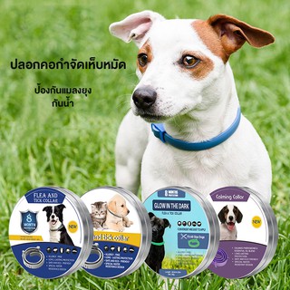 Flea and Tick Collar ปลอกคอกันเห็บ ปลอกคอกำจัดเห็บหมัด ปลอกคอเห็บ ป้องกันเห็บหมัด ป้องกันแมลงยุง กันน้ำ ป้องกัน 8