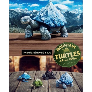 (มีของพร้อมส่ง) Gachapon กาชาปองเต่าภูเขา Mountin Turtles โมเดลเต่า