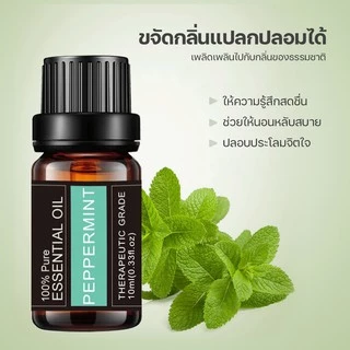 น้ำมันหอมระเหย น้ำหอมอโรม่า น้ำหอมเครื่องพ่นไอน้ำ สกัดจากพืช100% บริสุทธิ์ 10มล น้ำมันหอม ใช้คู่กับเครื่องพ่นไอน้ำ B-001
