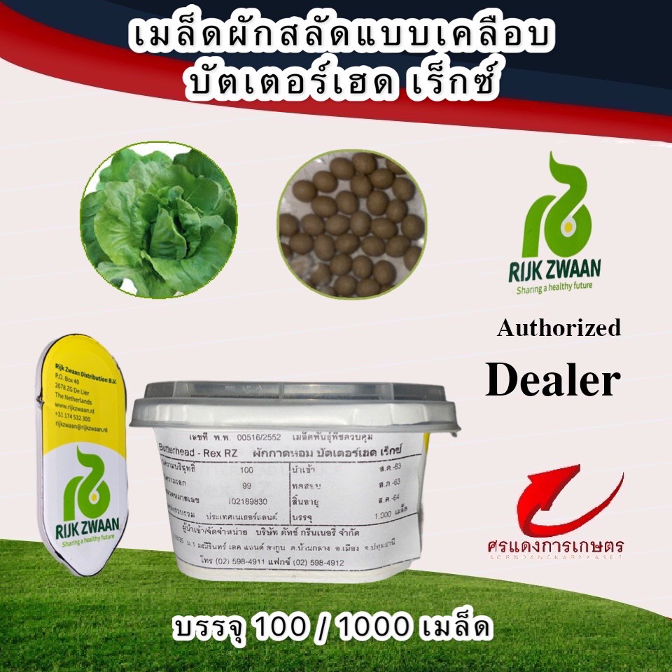 เมล็ดพันธุ์ผักสลัดบัตเตอร์เฮด 1,000 เมล็ด
