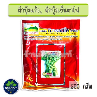 (500 g) ผักบุ้งเย็นตาโฟ ผักบุ้งแก้ว คริสตัล ตราภูเขา เมล็ดพันธุ์ผักบุ้ง เมล็ดพันธุ์ เมล็ดผักบุ้ง ผักบุ้งไทย ต้นอวบ