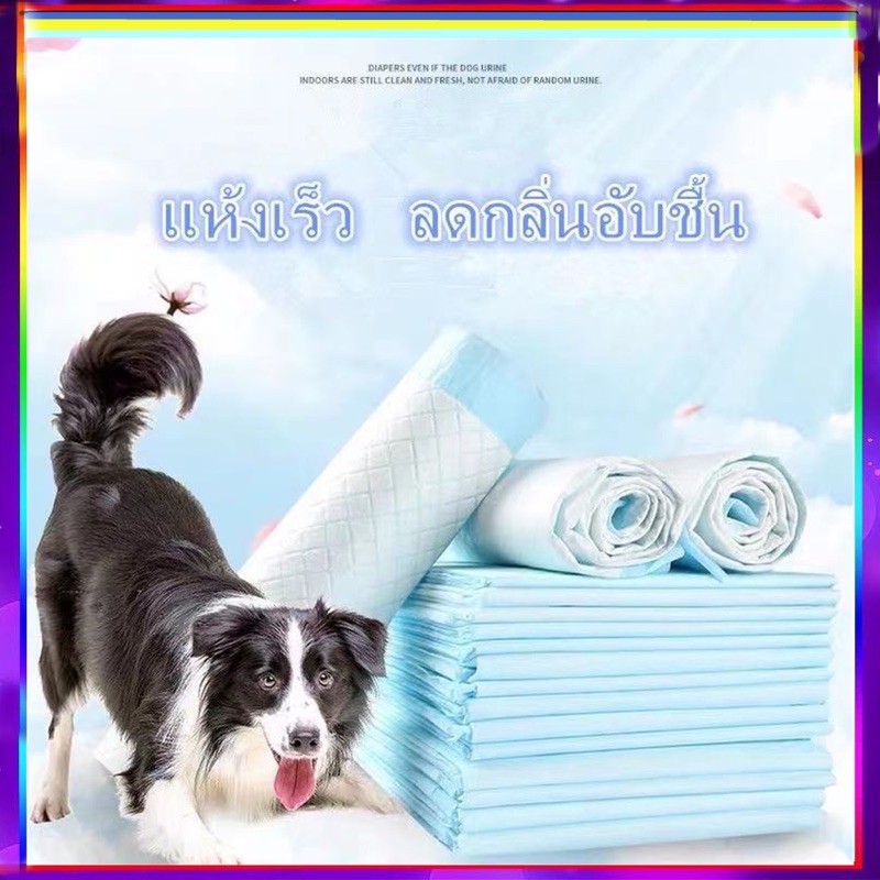 Pp A5 แผ่นรองฉี่ Cocoyo ไม่มีแพ็ค แผ่นรองฉี่สุนัขและแมว บ๊อกด็อก และ จิจิโกะ ดูดซับกลิ่นและข Nbs. 