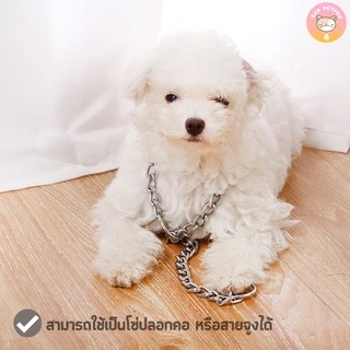 โซ่สุนัข โซ่ปลอกคอสุนัข ปลอกคอสุนัข แบบคล้องคอ 4ขนาด A019