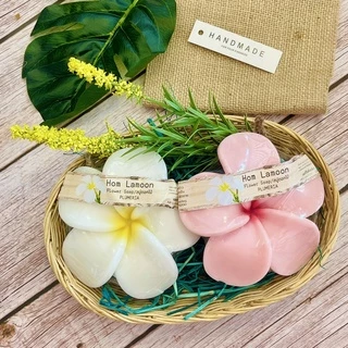 Set ของขวัญปีใหม่ สบู่ผลไม้ สบู่สปา จัด set 2,3,5 ก้อน กลิ่นตามรูปผลไม้ ดอกไม้ไทย