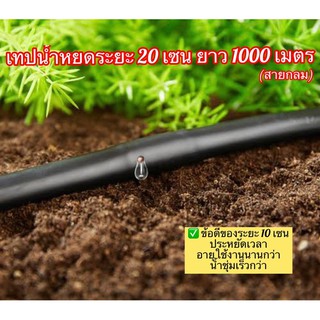 (ของแท้ ส่งไว) เทปน้ำหยด 20 เซน ยาว 1000 เมตร หนา 0.16