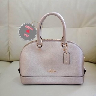 🍃 MINI SIERRA SATCHEL COACH F22315