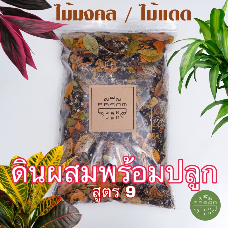 ดินผสมพร้อมใช้ สูตร 9 ไม้แดด ไม้มงคล (outdoor Plant) Pasom Garden - ดินปลูกต้นไม้ วัสดุปลูกปรุงสำเร็จ Aroid soil