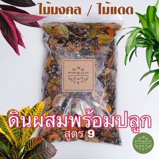 ดินผสมพร้อมใช้ สูตร 9 ไม้แดด ไม้มงคล (outdoor Plant) Pasom Garden -  ดินปลูกต้นไม้ วัสดุปลูกปรุงสำเร็จ Aroid soil