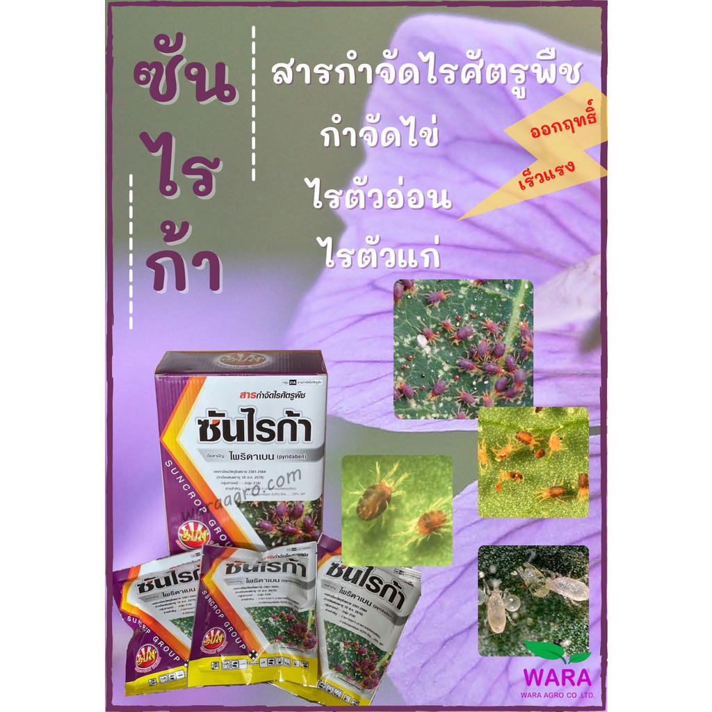 กำจัดไรแดง ไรขาว ไรสนิม ไรแมงมุม ไรสองจุด ฆ่าไรตัวแก่ ไรตัวอ่อน คุมไข่ แบบสัมผัสตาย ตายไว ไพริดาเบน20 ซันไรก้า