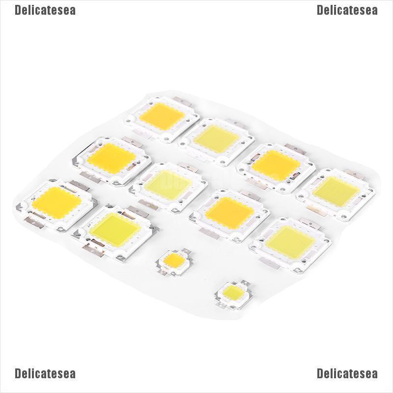 (Ds) ไฟ Led 10 W 20 W 30 W 50 W 70 W 100 W 2
