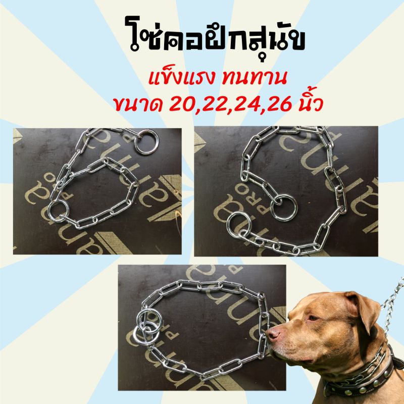 โซ่คอสุนัข ปลอกคอฝึกสุนัข สายจูงสุนัข ปลอกคอโซ่ฝึกสุนัขคุณภาพดี ปลอกคอสุนัข โซ่สำหรับ สุนัข หมา กันกัด รูปที่ 7