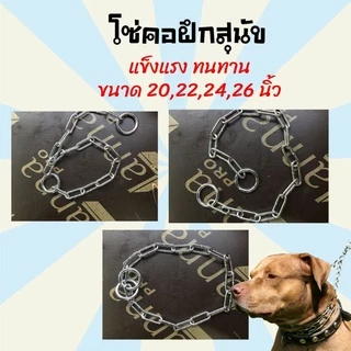 โซ่คอสุนัข ปลอกคอฝึกสุนัข สายจูงสุนัข ปลอกคอโซ่ฝึกสุนัขคุณภาพดี ปลอกคอสุนัข โซ่สำหรับ สุนัข หมา กันกัด