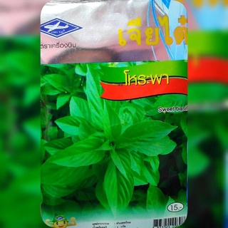 โหระพา (Sweet Basil) เจียใต๋