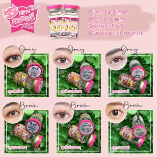 คอนแทคเลนส์ แบรนด์คิตตี้คาวาอี้ Contact Lens Kitty Kawaii รายเดือน ขนาดเท่าตา ค่าอมน้ำสูง เลนส์นิ่มใสสบาย