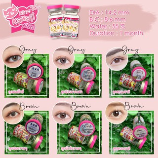 คอนแทคเลนส์ แบรนด์คิตตี้คาวาอี้ Contact Lens Kitty Kawaii รายเดือน ขนาดเท่าตา ค่าอมน้ำสูง เลนส์นิ่มใสสบาย