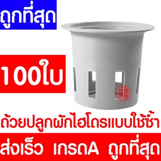 *ส่งไวมาก* ถ้วยปลูกผัก 100ใบ ถ้วยขาวปลูกผัก ผักไฮโดรโปนิกส์ ผักไฮโดร ไฮโดร hydroponic hydro แบบใช้ซ้ำ ค่าส่งถูก