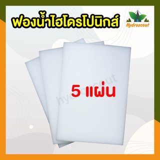 ฟองน้ำปลูกผักไฮโดรโปนิกส์คุณภาพดี  5  แผ่น by hydroscout