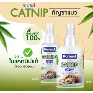 Kanimal Catnip Spray 75ml.สเปรย์แคทนิป กัญชาแมว สูตรธรรมชาติ100% อ่อนโยน ปลอดภัย