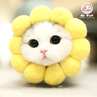 🐾Kitty Pet🐾 Pet Collar หมวกสัตว์เลี้ยง ปลอกคอสัตว์เลี้ยงทรงกลม ดอกทานตะวัน【PS0002】