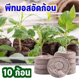 💚พร้อมส่ง💚พีทมอสอัดก้อน10ก้อน