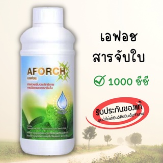 เอฟอช Aforch สารจับใบ ( ขนาดทดลอง 1000 ซีซี ) ชนิดเร่งดูดซึมไว ของแท้ 100%